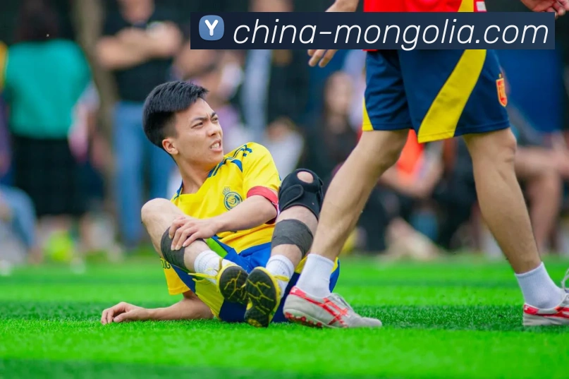 华体会平台生态图