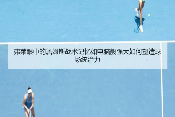 弗莱眼中的詹姆斯战术记忆如电脑般强大如何塑造球场统治力