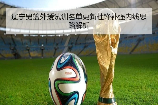 辽宁男篮外援试训名单更新杜锋补强内线思路解析